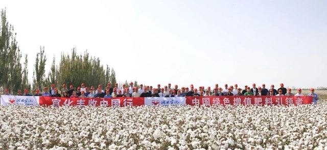 宜化豐收中國行！新疆棉花大型測產(chǎn)觀摩會成功舉行(圖1)